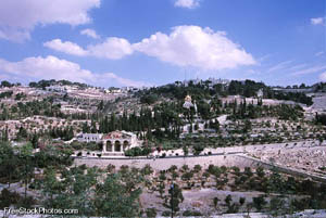 Mount of Olives - photo from FreeStockPhotos.com